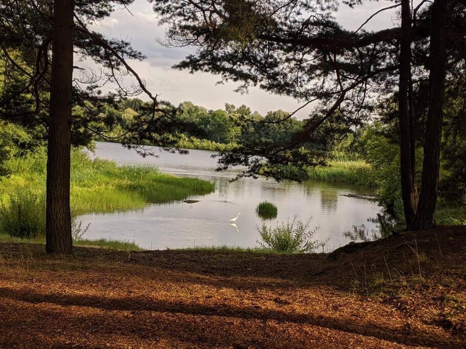 Gaujaupe Villa Gauja  Exteriör bild
